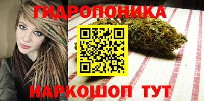 гашиш Аргун