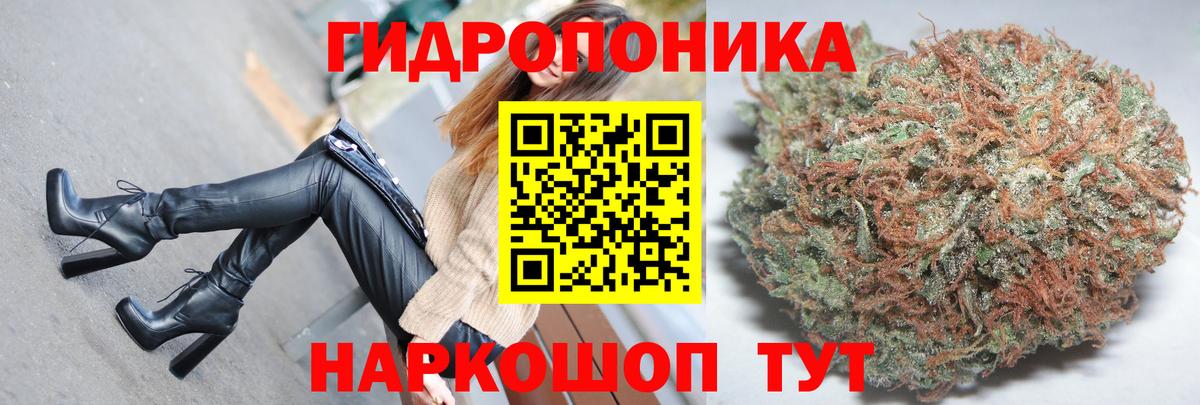Бошки Шишки индика Асино